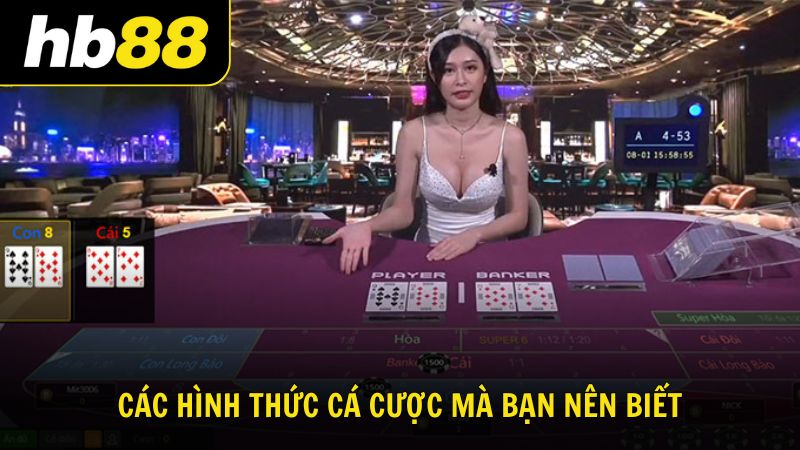 Các hình thức cá cược mà bạn nên biết