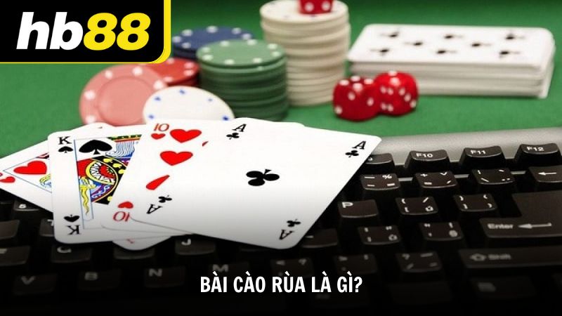 Bài cào rùa là gì?